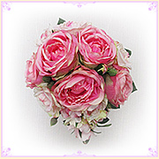 ����ԃu�[�P