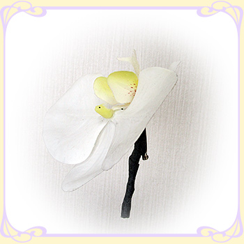 �Ӓ��� �� �L���X�P�[�h�u�[�P