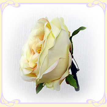 ���o�� �u�g�j�A