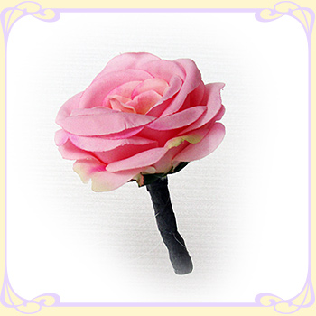 �s���N�o�� �u�g�j�A