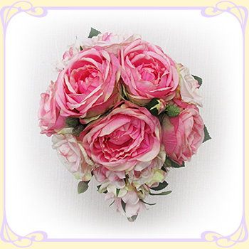 �s���N�o�� �L���X�P�[�h�u�[�P